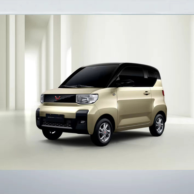 2022年 2023年 最大速さ 100km/h 4輪動力車 電動車 長さ 2599*1505*1631mm